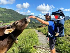 Oberjoch Iseler Kuh Allgäu